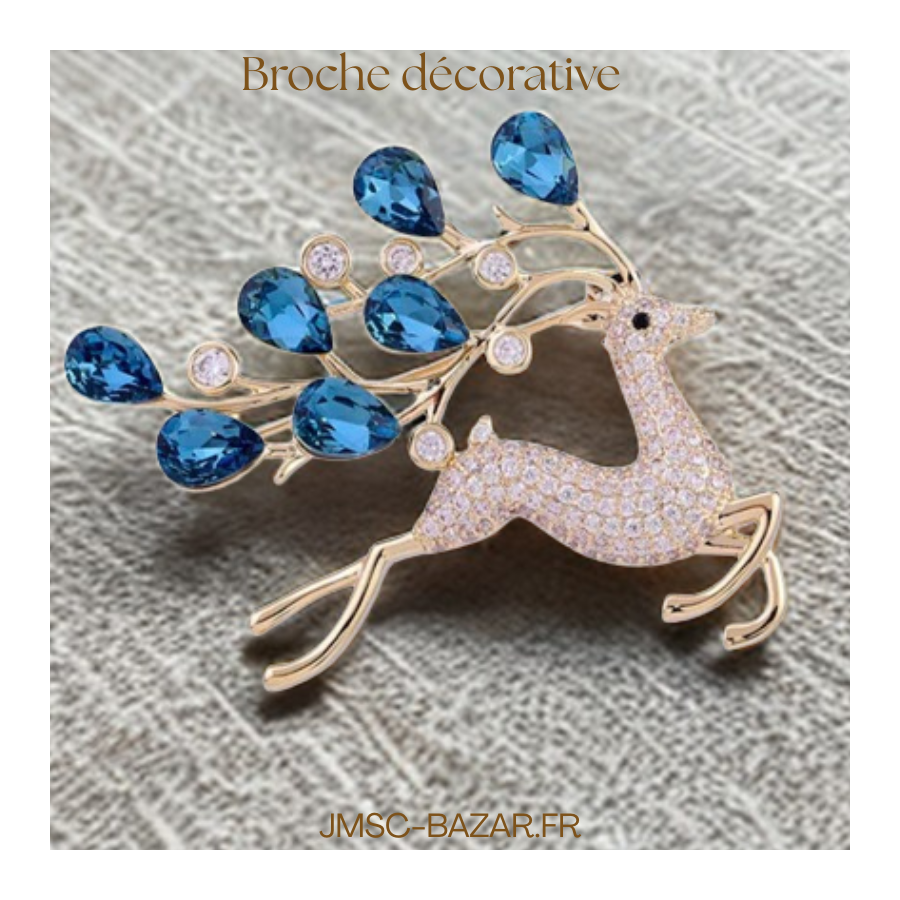 Broches décoratives