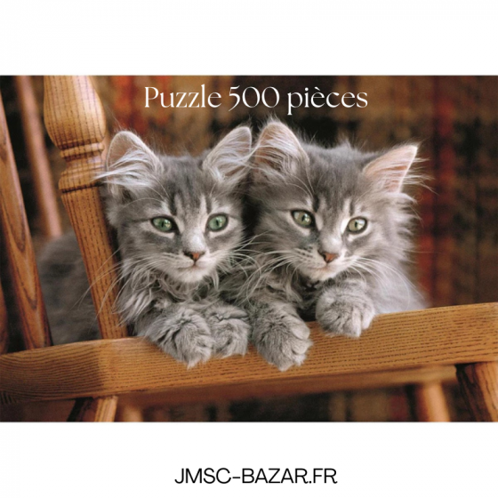 Puzzle 500 pièces