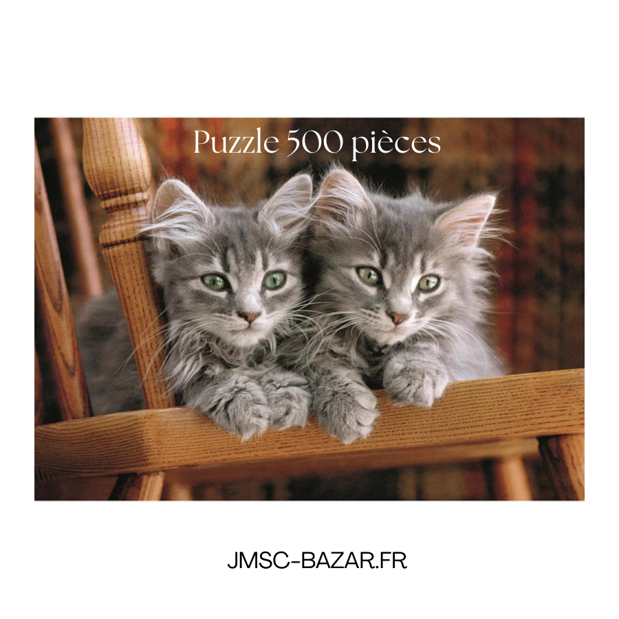 Puzzle 500 pièces