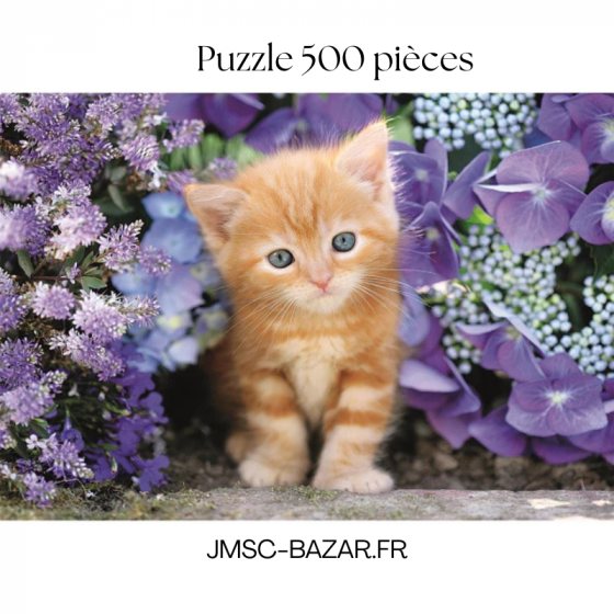 Puzzle 500 pièces