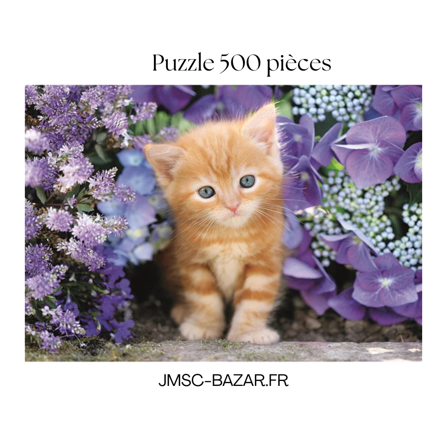 Puzzle 500 pièces