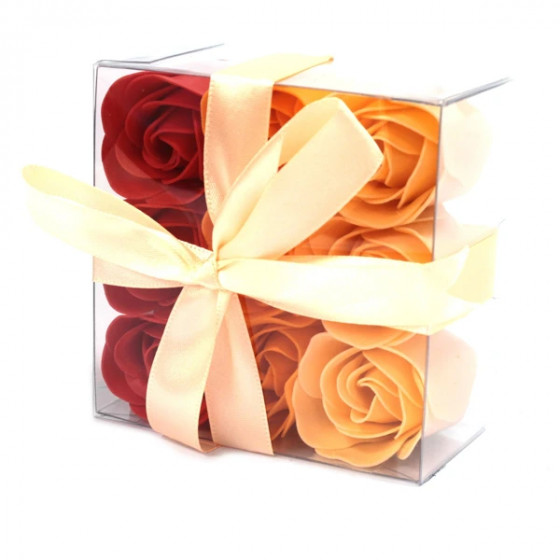 Boite de 9 mini roses multicolores