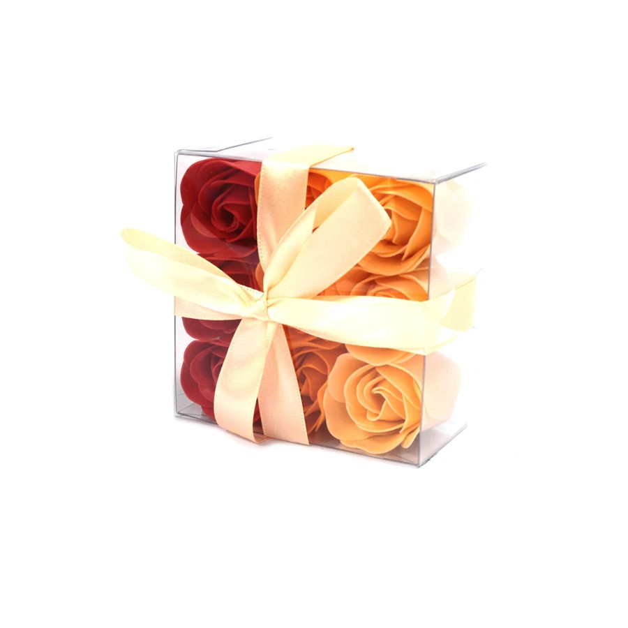 Boite de 9 mini roses multicolores